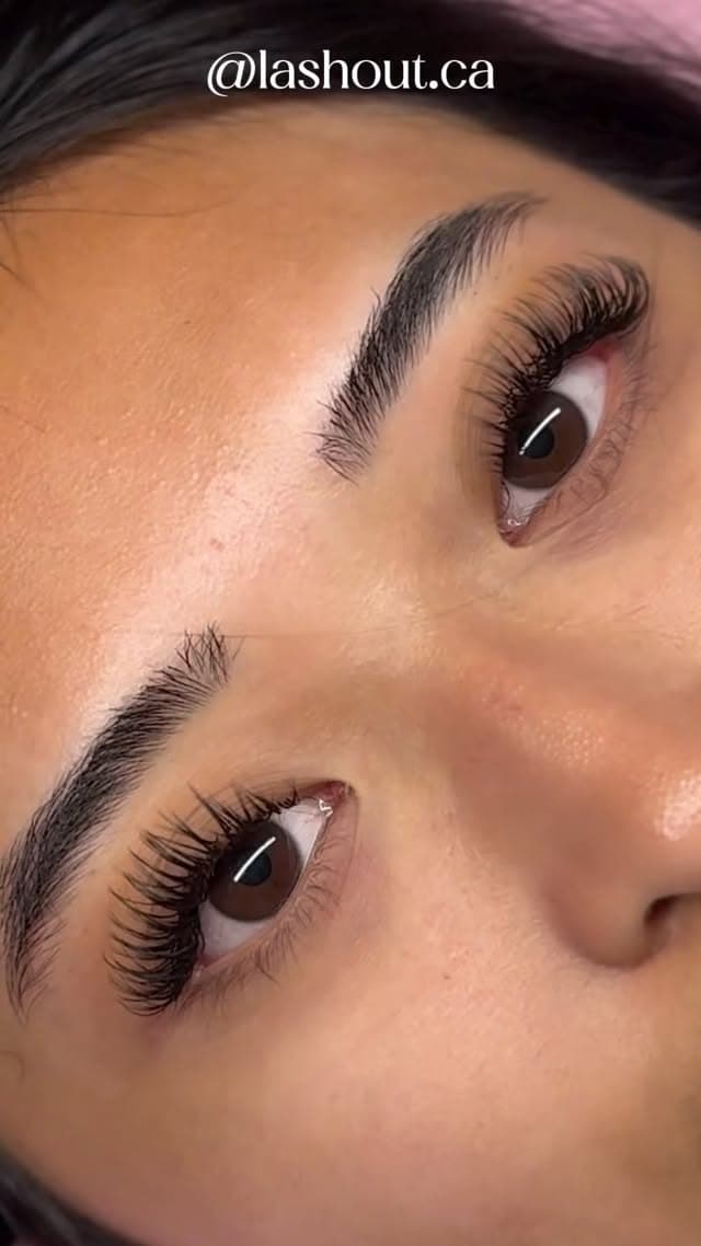 Wet Full Set lash extensions — Lashout