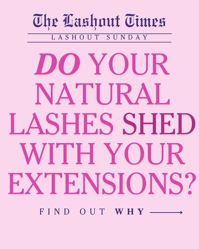 Full Sets lash services by Sarah Khan